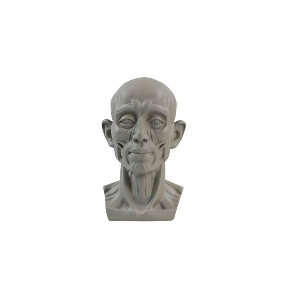Art Plaster Portrait Teaching  - огляд і ціна Resin Art Learning