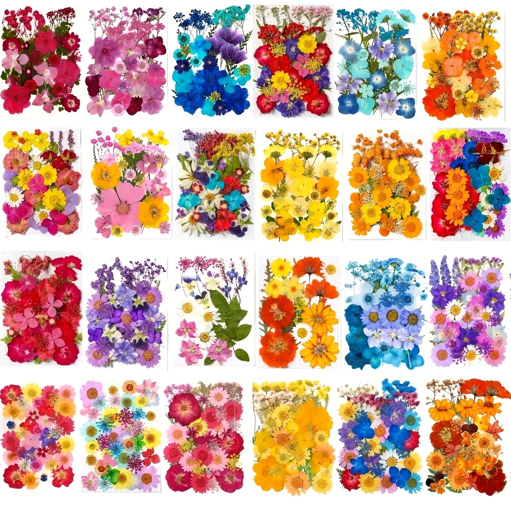 500pcs of Random Materials for - огляд і ціна Resin Art Case