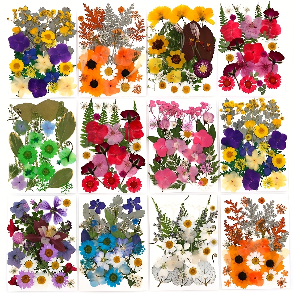 500pcs of Random Materials for - огляд і ціна Resin Art Case