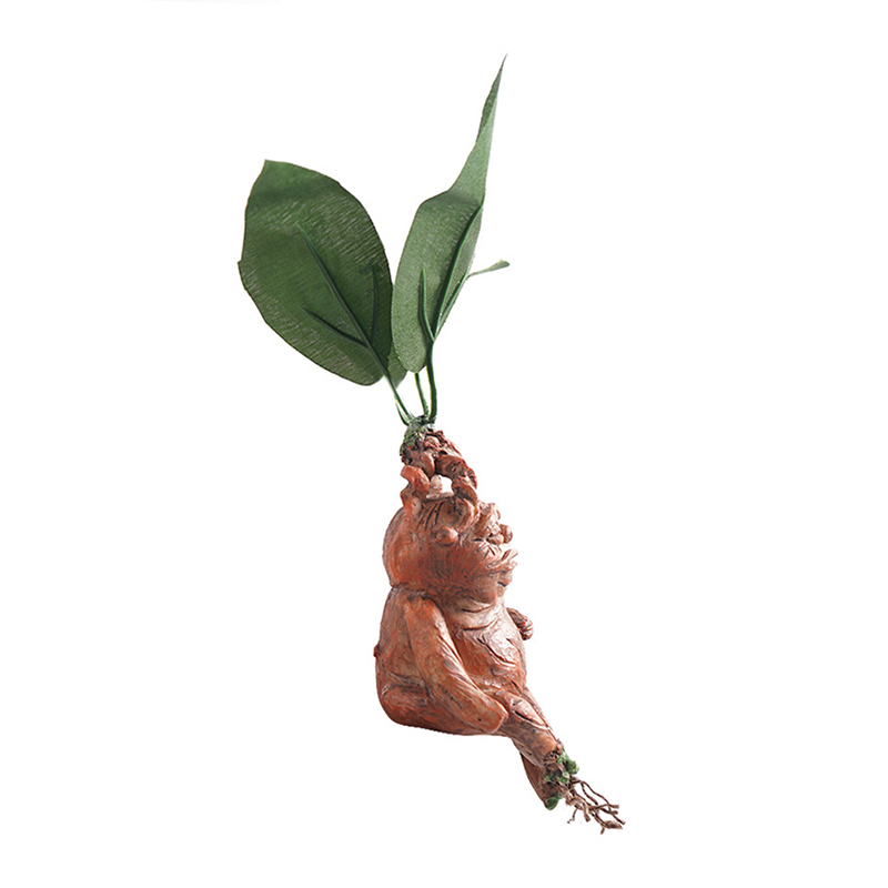 1PCS Mandrake Grass Resin Stat - огляд і ціна Resin Art Anniversary Gift