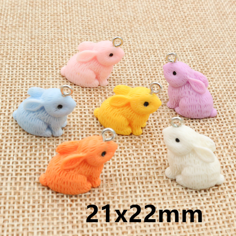 10PCS Resin Pendant Charms Rab - огляд і ціна Resin Art Jewellery