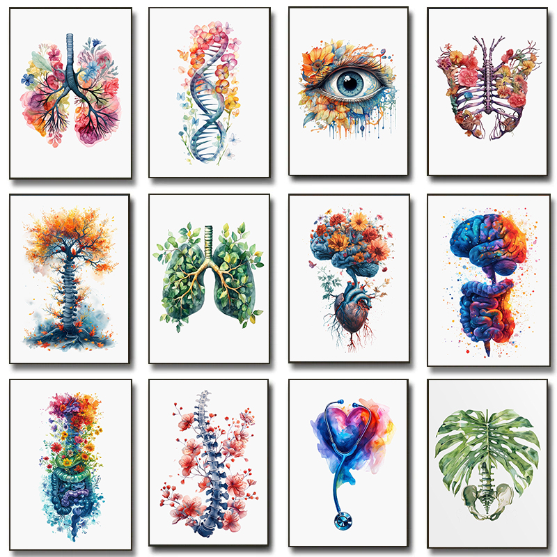 Anatomy Of Human Organs Poster - огляд і ціна Resin Art On Wall